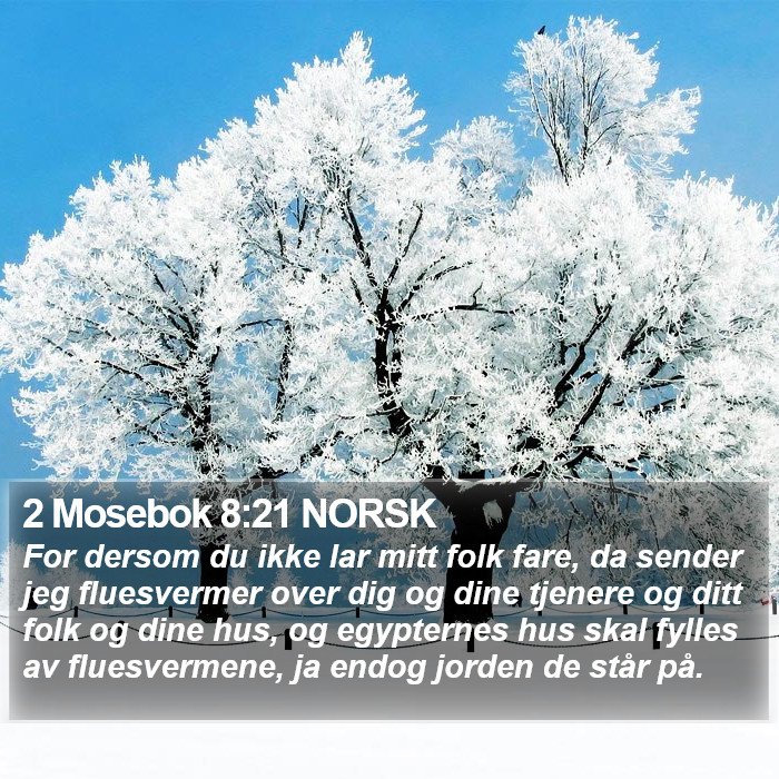 2 Mosebok 8:21 NORSK Bible Study