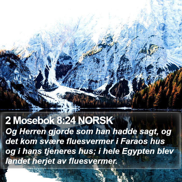 2 Mosebok 8:24 NORSK Bible Study