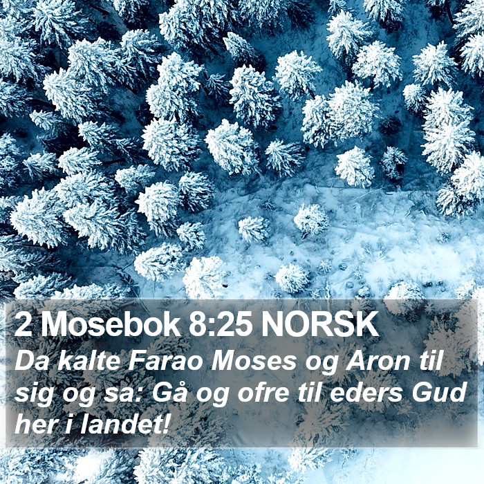 2 Mosebok 8:25 NORSK Bible Study