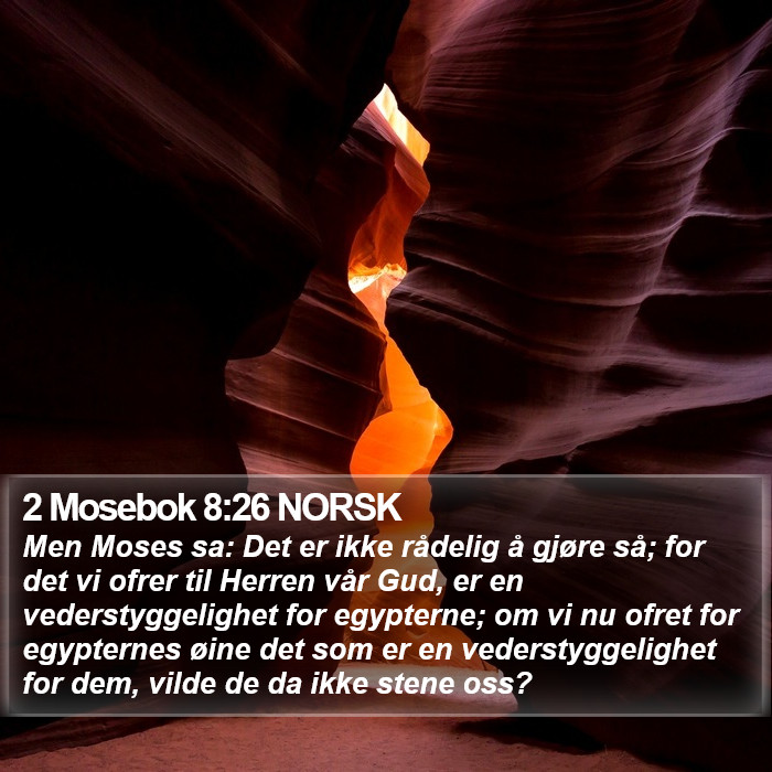 2 Mosebok 8:26 NORSK Bible Study