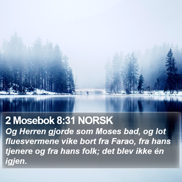 2 Mosebok 8:31 NORSK Bible Study