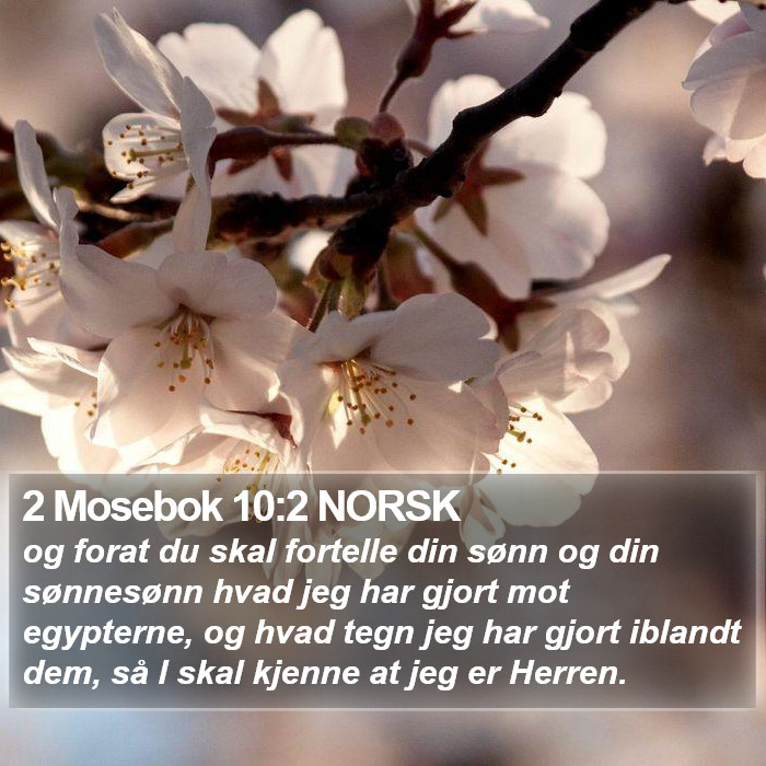 2 Mosebok 10:2 NORSK Bible Study