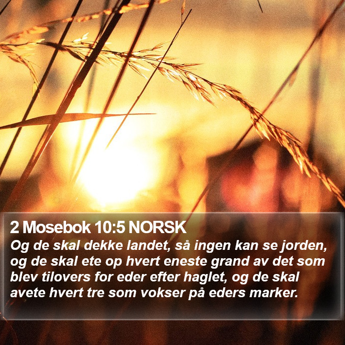 2 Mosebok 10:5 NORSK Bible Study