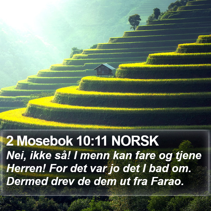 2 Mosebok 10:11 NORSK Bible Study