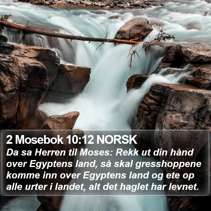 2 Mosebok 10:12 NORSK Bible Study