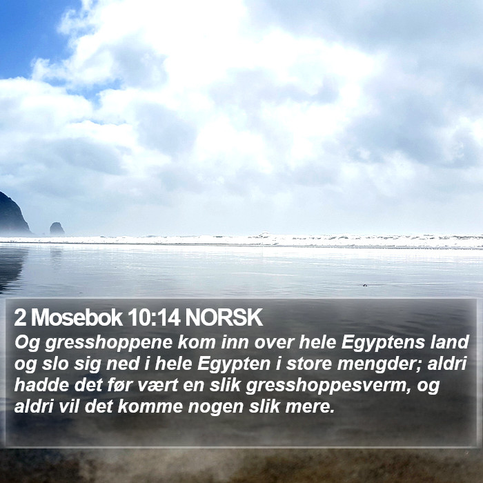 2 Mosebok 10:14 NORSK Bible Study