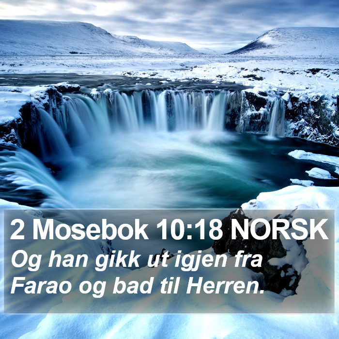 2 Mosebok 10:18 NORSK Bible Study