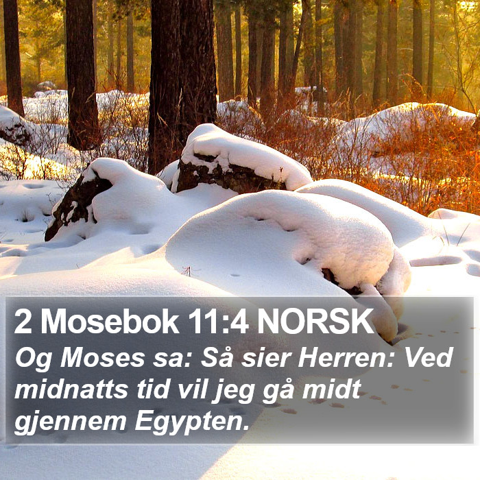 2 Mosebok 11:4 NORSK Bible Study