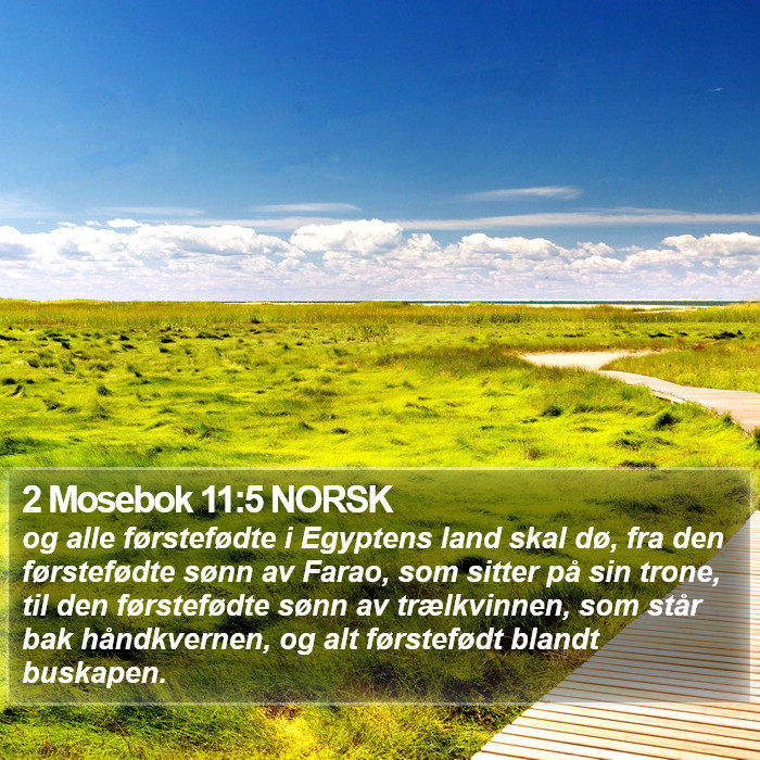 2 Mosebok 11:5 NORSK Bible Study