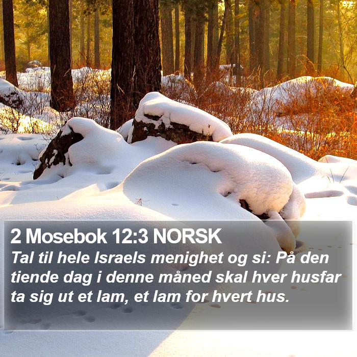 2 Mosebok 12:3 NORSK Bible Study