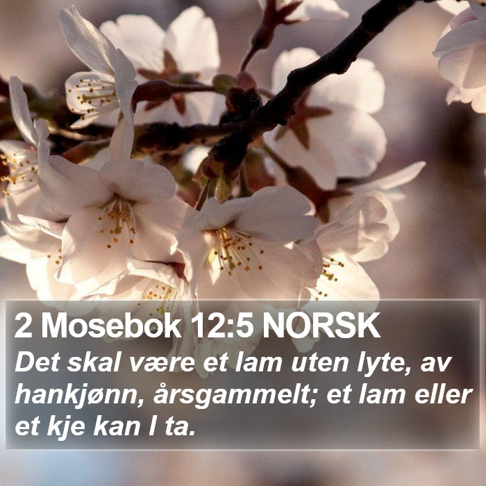 2 Mosebok 12:5 NORSK Bible Study