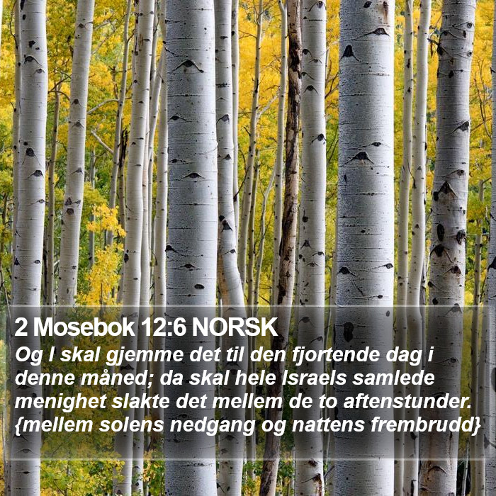 2 Mosebok 12:6 NORSK Bible Study