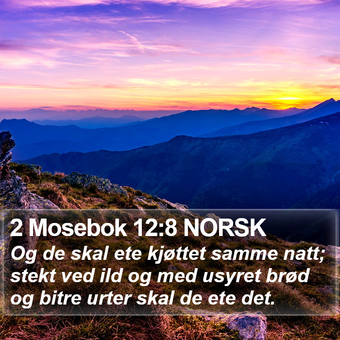 2 Mosebok 12:8 NORSK Bible Study