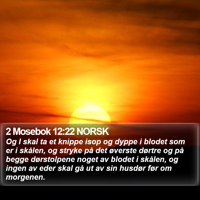 2 Mosebok 12:22 NORSK Bible Study