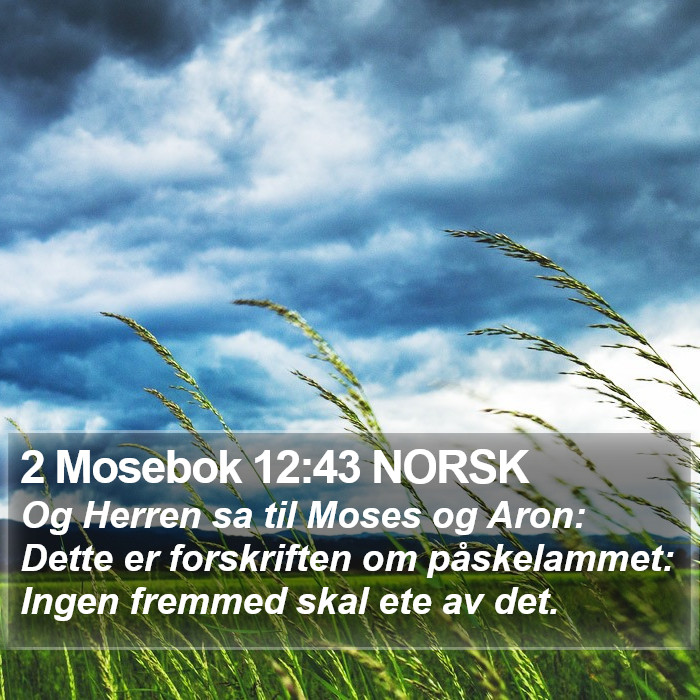 2 Mosebok 12:43 NORSK Bible Study
