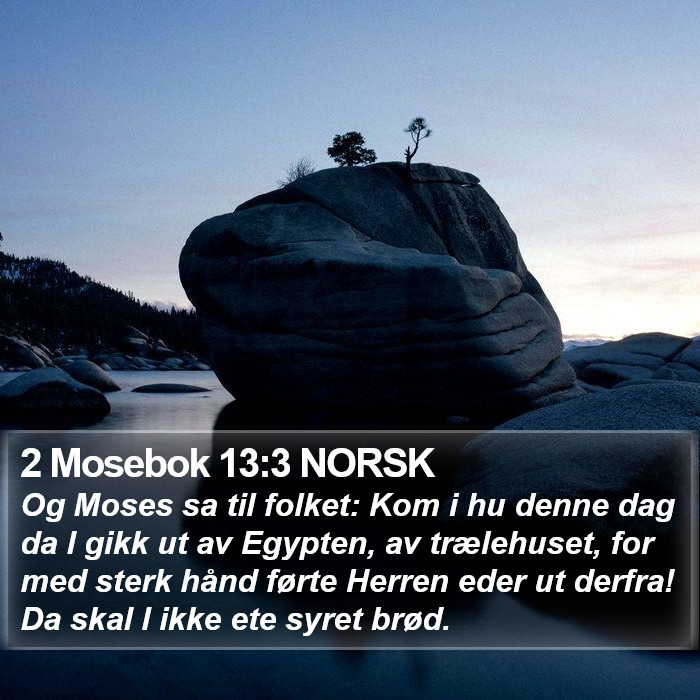 2 Mosebok 13:3 NORSK Bible Study