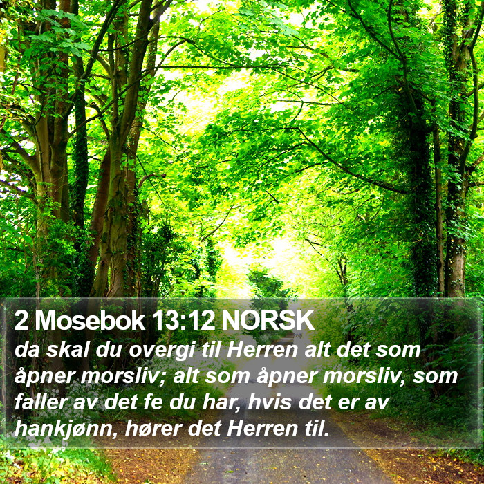 2 Mosebok 13:12 NORSK Bible Study