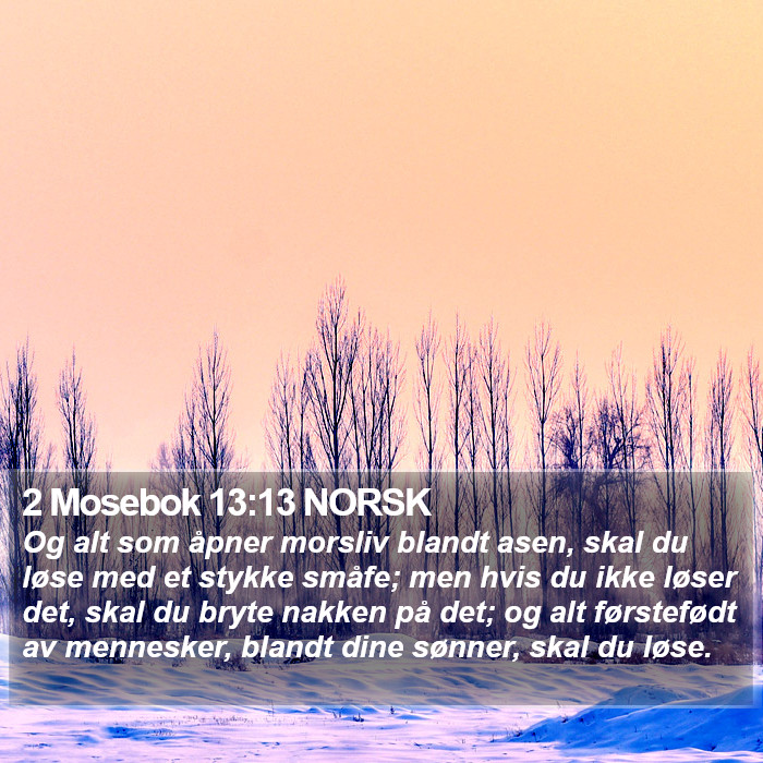 2 Mosebok 13:13 NORSK Bible Study