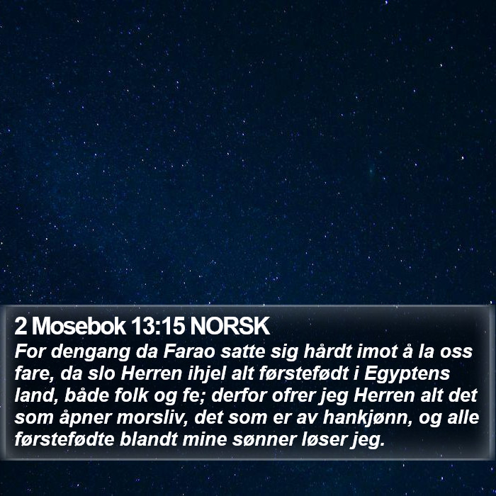 2 Mosebok 13:15 NORSK Bible Study