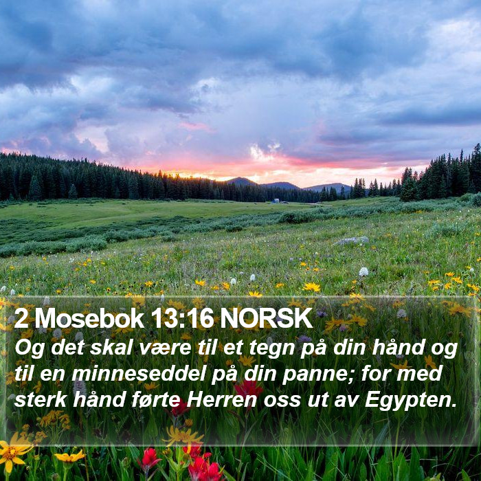 2 Mosebok 13:16 NORSK Bible Study