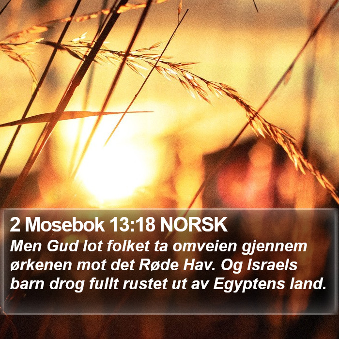 2 Mosebok 13:18 NORSK Bible Study