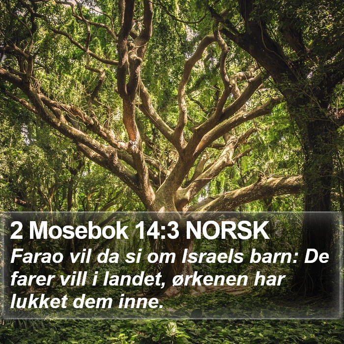 2 Mosebok 14:3 NORSK Bible Study