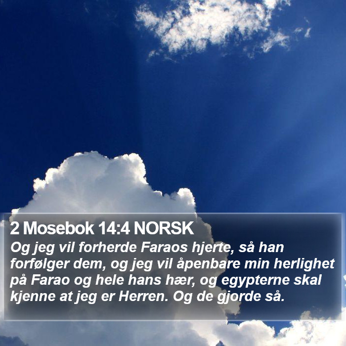 2 Mosebok 14:4 NORSK Bible Study