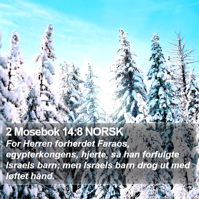 2 Mosebok 14:8 NORSK Bible Study