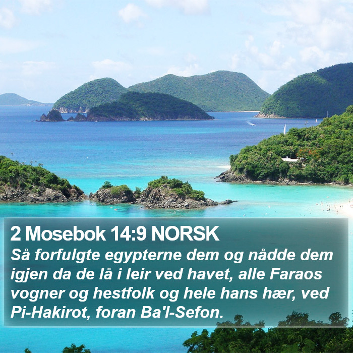 2 Mosebok 14:9 NORSK Bible Study