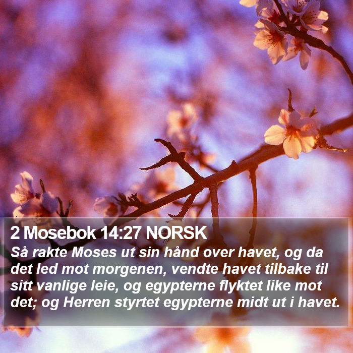 2 Mosebok 14:27 NORSK Bible Study