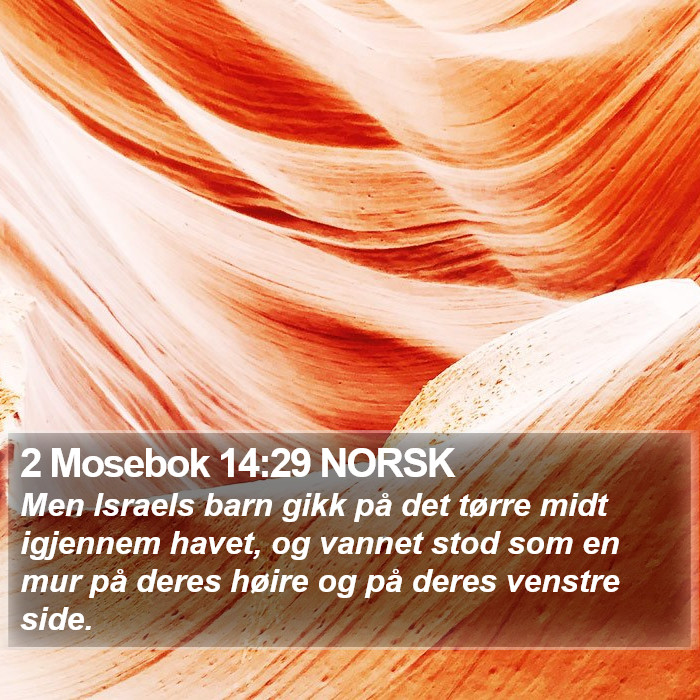 2 Mosebok 14:29 NORSK Bible Study