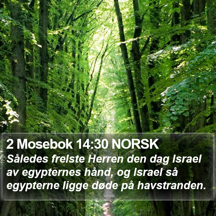 2 Mosebok 14:30 NORSK Bible Study