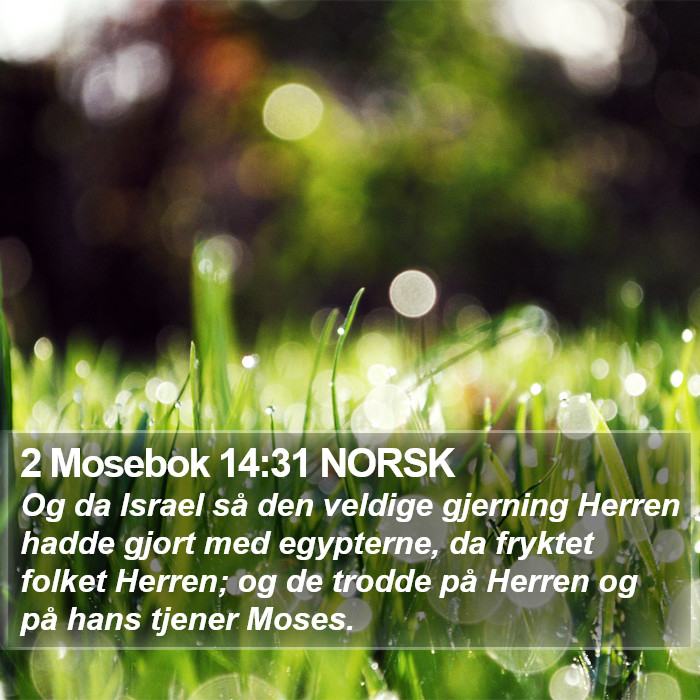 2 Mosebok 14:31 NORSK Bible Study