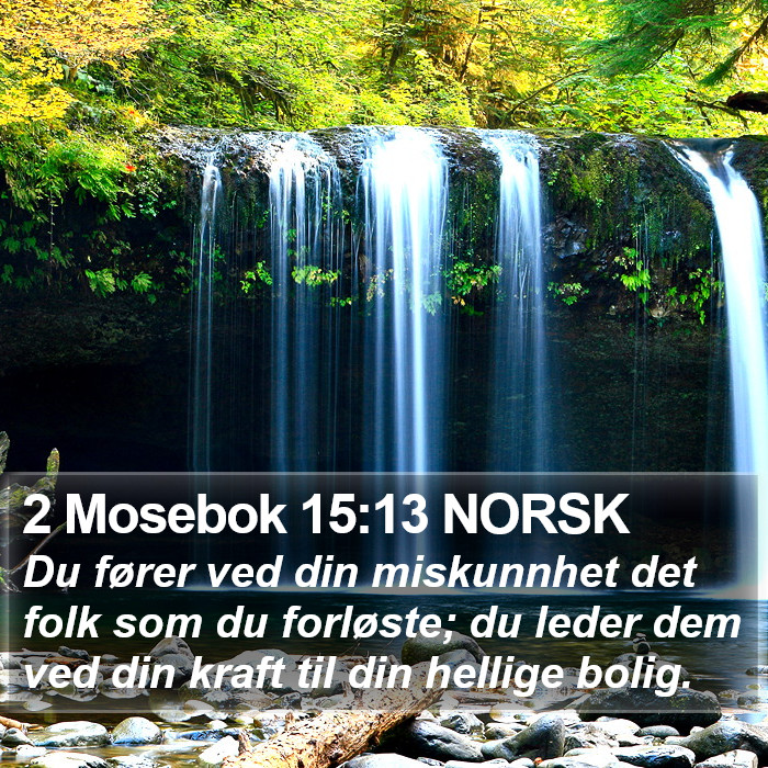 2 Mosebok 15:13 NORSK Bible Study