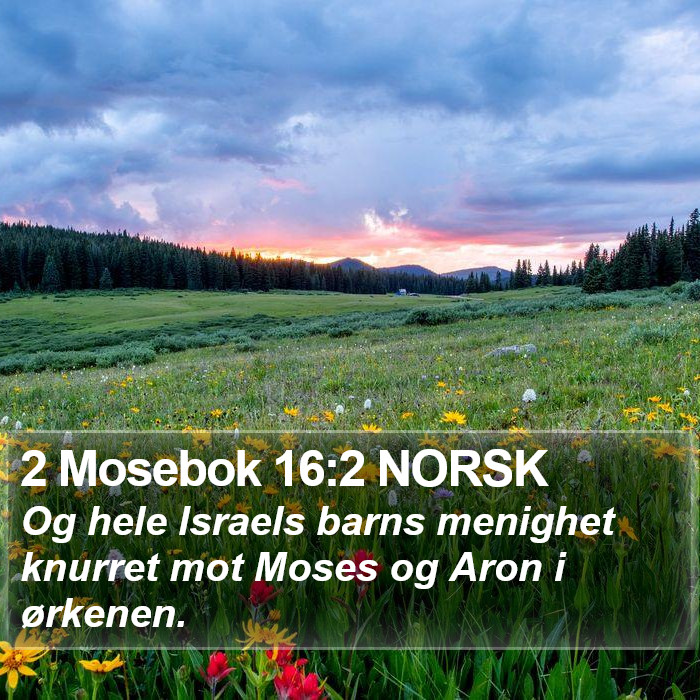2 Mosebok 16:2 NORSK Bible Study