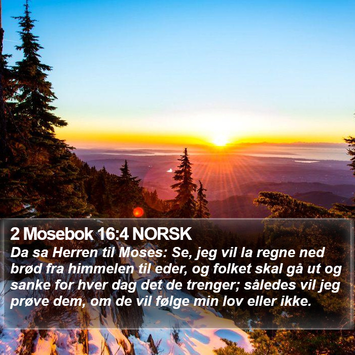 2 Mosebok 16:4 NORSK Bible Study