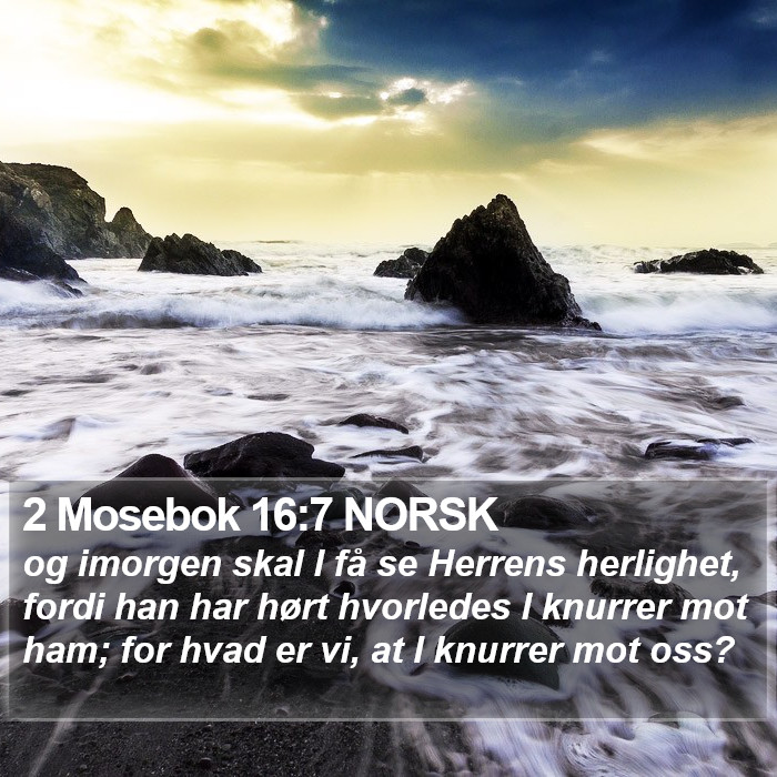 2 Mosebok 16:7 NORSK Bible Study