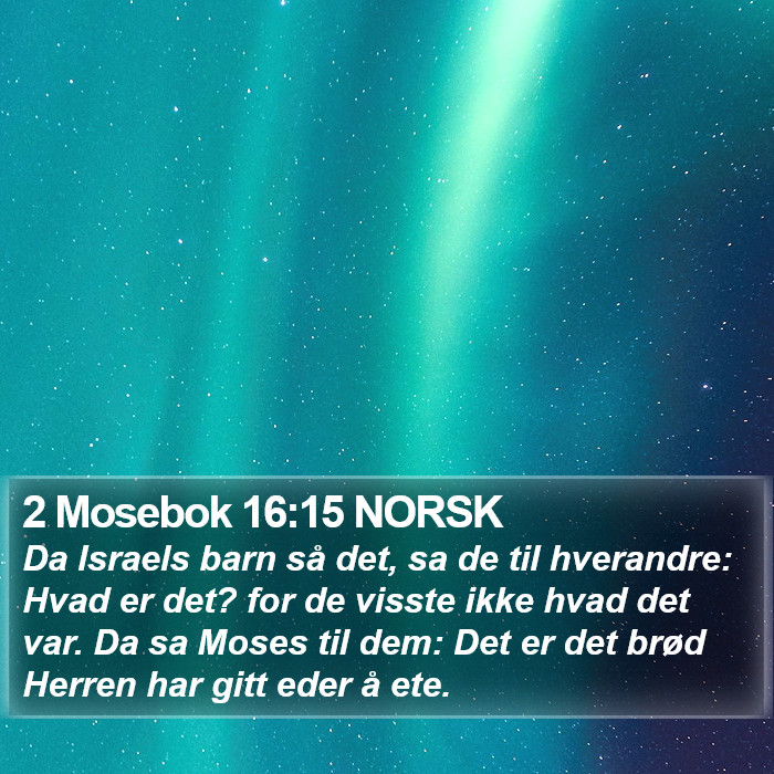 2 Mosebok 16:15 NORSK Bible Study