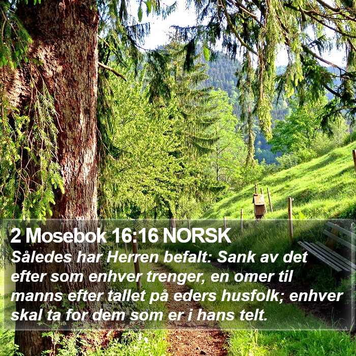 2 Mosebok 16:16 NORSK Bible Study