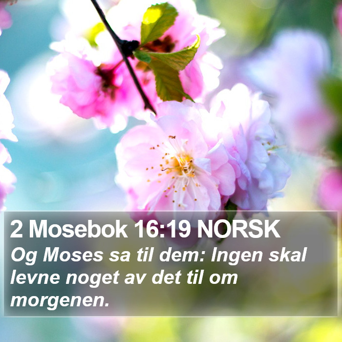 2 Mosebok 16:19 NORSK Bible Study