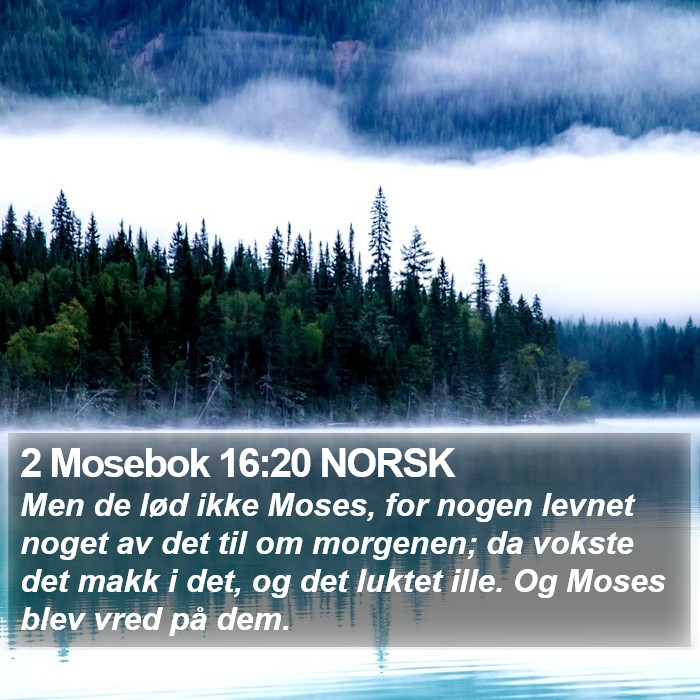 2 Mosebok 16:20 NORSK Bible Study