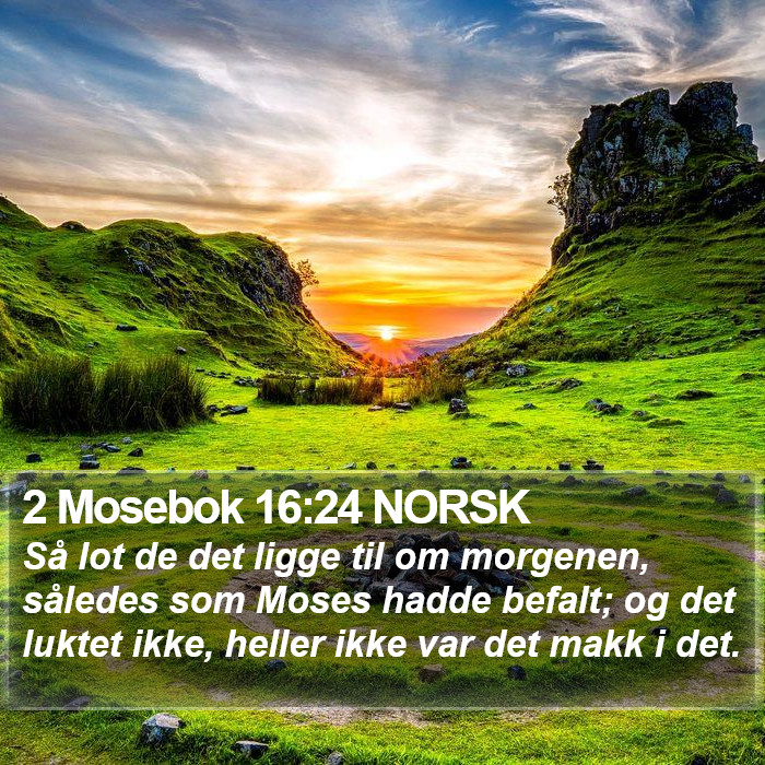 2 Mosebok 16:24 NORSK Bible Study