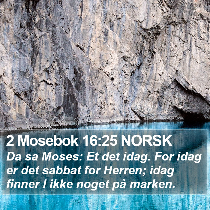 2 Mosebok 16:25 NORSK Bible Study