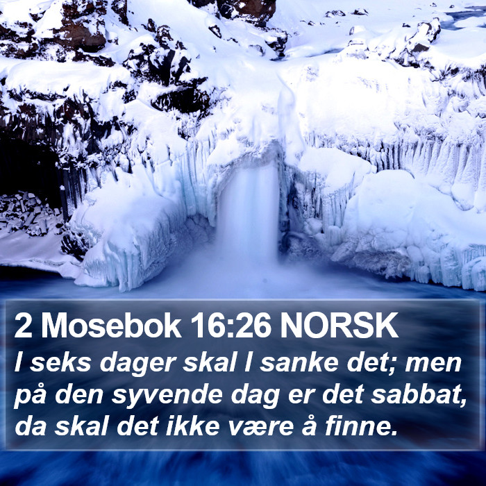 2 Mosebok 16:26 NORSK Bible Study