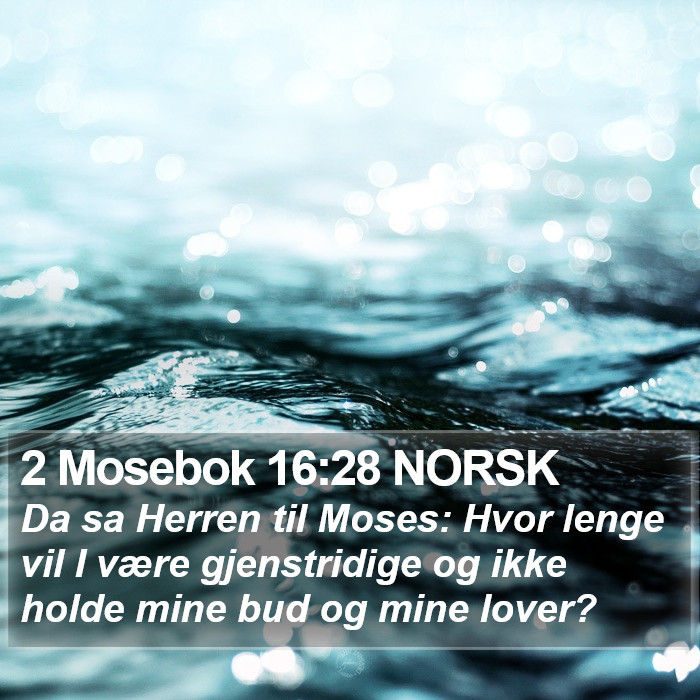 2 Mosebok 16:28 NORSK Bible Study
