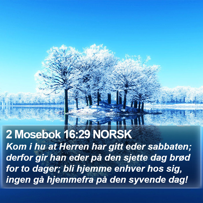 2 Mosebok 16:29 NORSK Bible Study