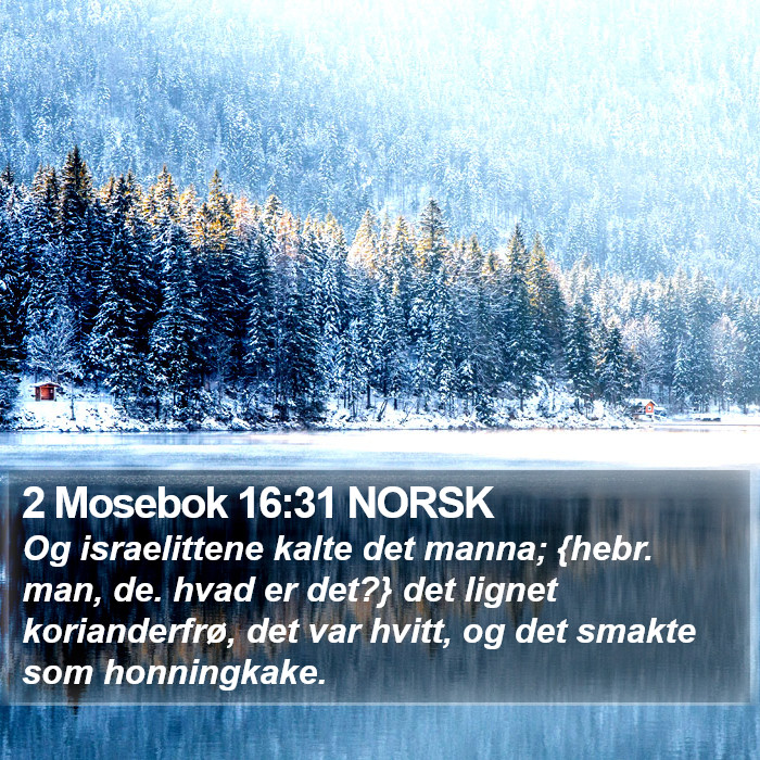 2 Mosebok 16:31 NORSK Bible Study