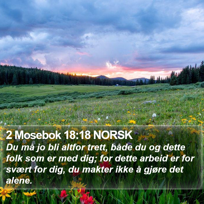 2 Mosebok 18:18 NORSK Bible Study