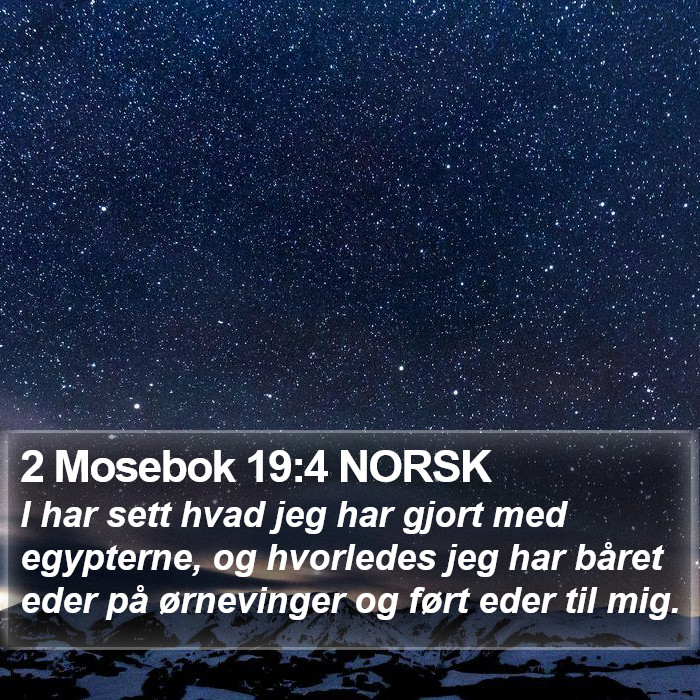 2 Mosebok 19:4 NORSK Bible Study