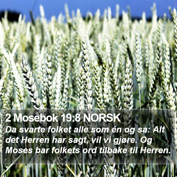 2 Mosebok 19:8 NORSK Bible Study